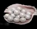 6000 Echo Beads