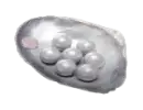 300 Echo Beads