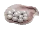 900 Echo Beads